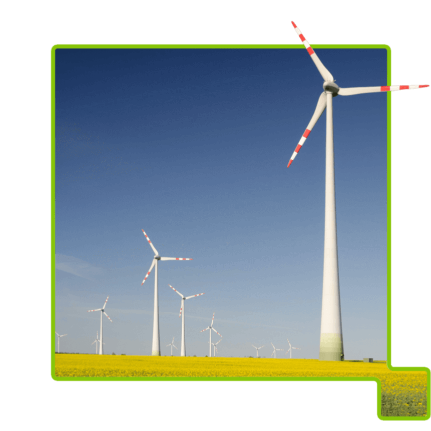 Windmills in a field