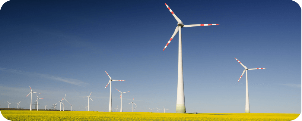 wind turbines in a field