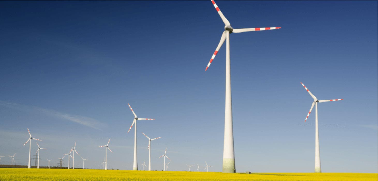 wind turbines in a field
